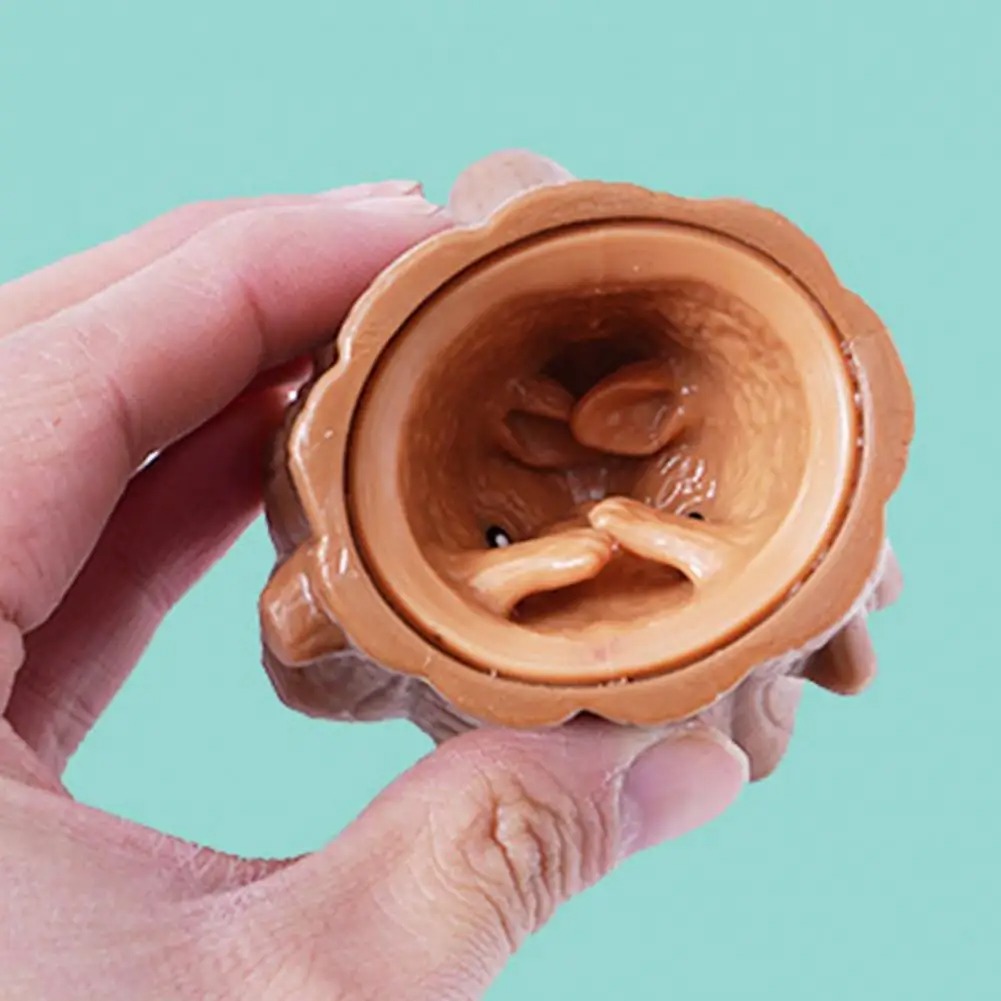 Pop Up mainan tikus dan keju b - Photography Jokes ulasan dan harga